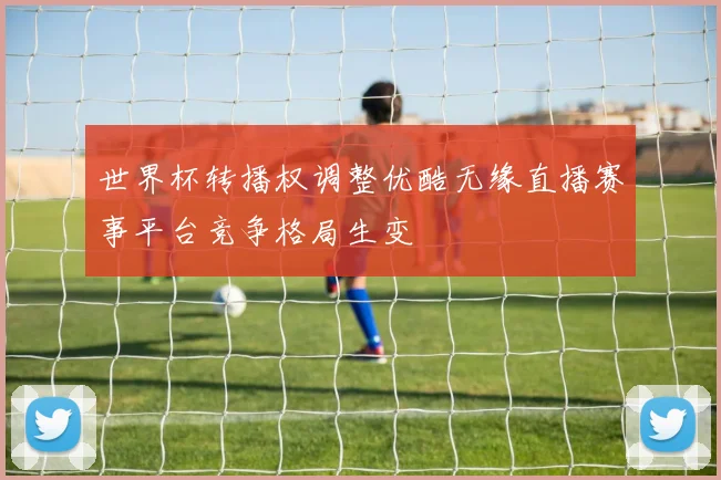 世界杯转播权调整优酷无缘直播赛事平台竞争格局生变