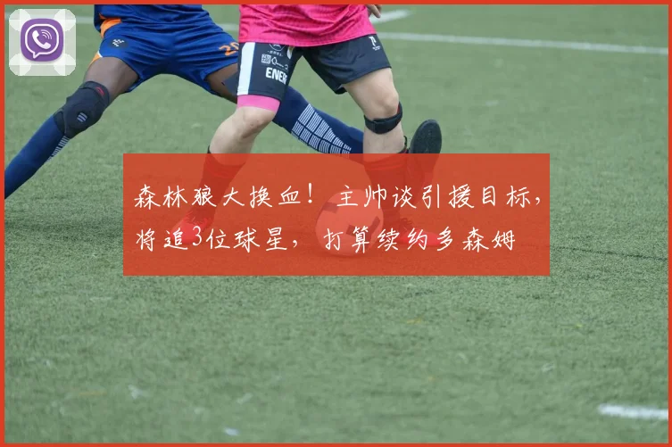 森林狼大换血!主帅谈引援目标,将追3位球星,打算续约多森姆